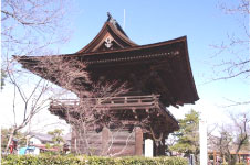 屋外に建つ円鏡寺楼門を側面から少し離れて撮影した写真
