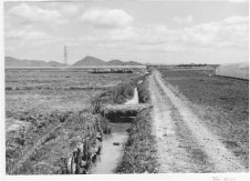 遠くに山があり一面畑が広がり畑道と用水路が続いている様子の白黒の写真