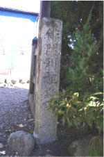 木々の横に日陰に隠れるようにして文字の書かれた小さな石柱が立っている写真