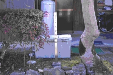 植物の近くの代官屋敷跡に標柱が設置されている写真