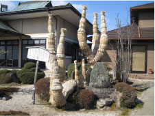 建物に囲まれた中庭のような場所に様々な植物に囲まれて佇む小さなお墓の写真