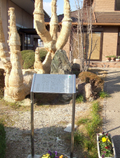 中庭に整備された小道の脇に白い説明版が立っている写真