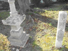 白い石塔と石柱が木の側に立っている様子を正面から撮った写真