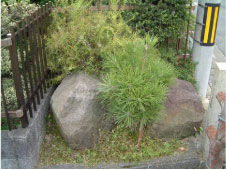 柵に囲われて植物が生えている郡界石を囲いの側面から写した写真