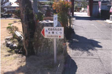 石畳で整備された小道の脇に設置された円鏡寺クロガネモチの木への案内板の写真
