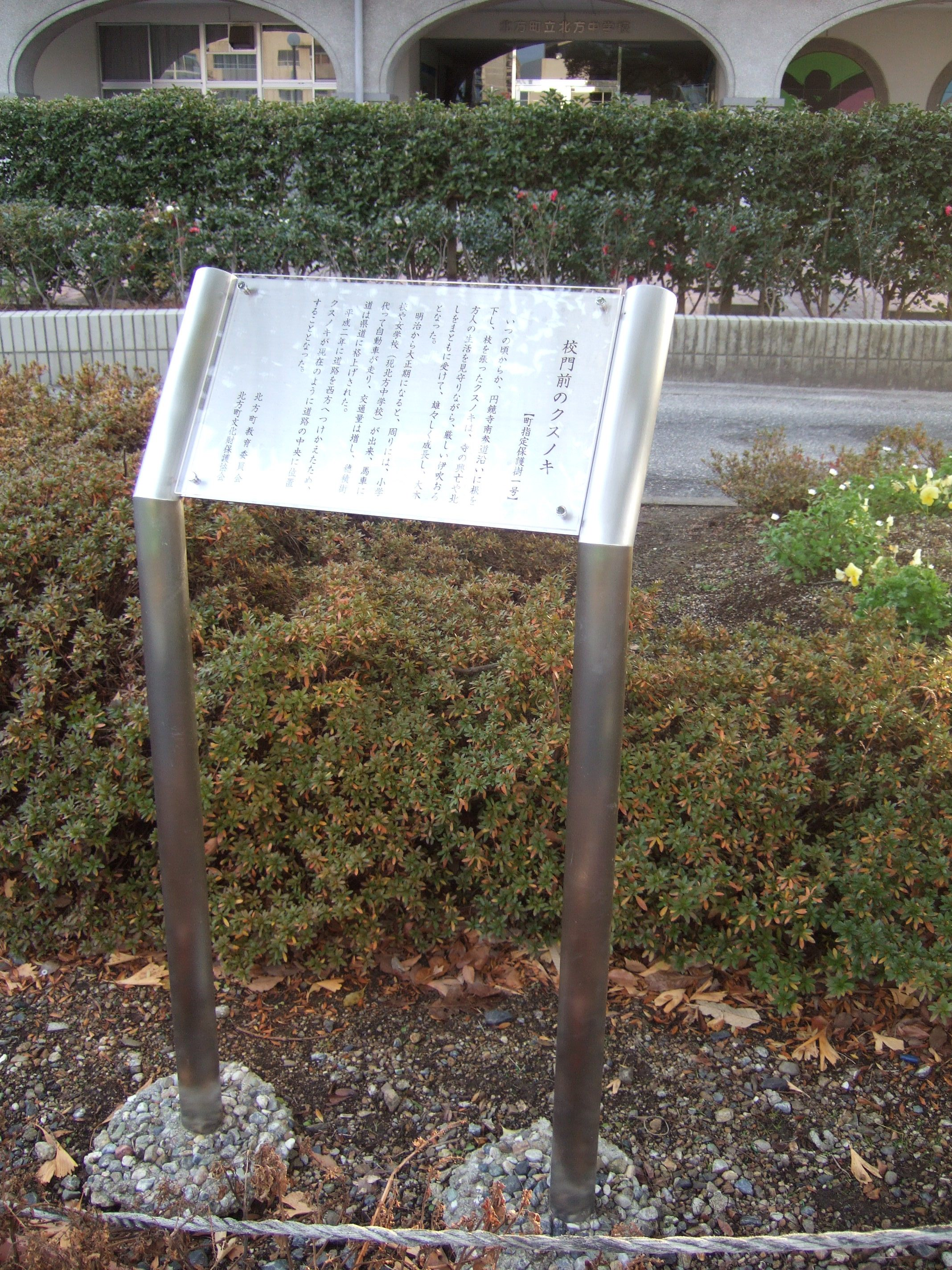 校門前のクスノキについて書かれている銀色の説明板