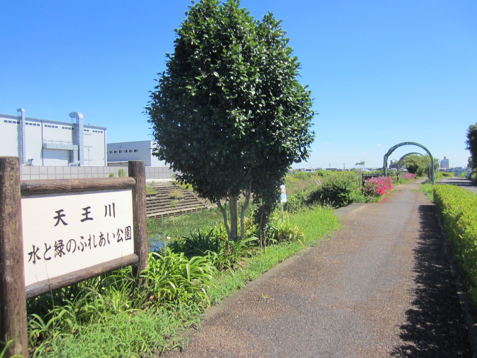 天王川水と緑のふれあい公園の看板付近の風景写真。写真左側に天王川、右側に遊歩道が確認できる