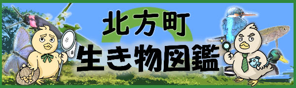 北方町 生き物図鑑