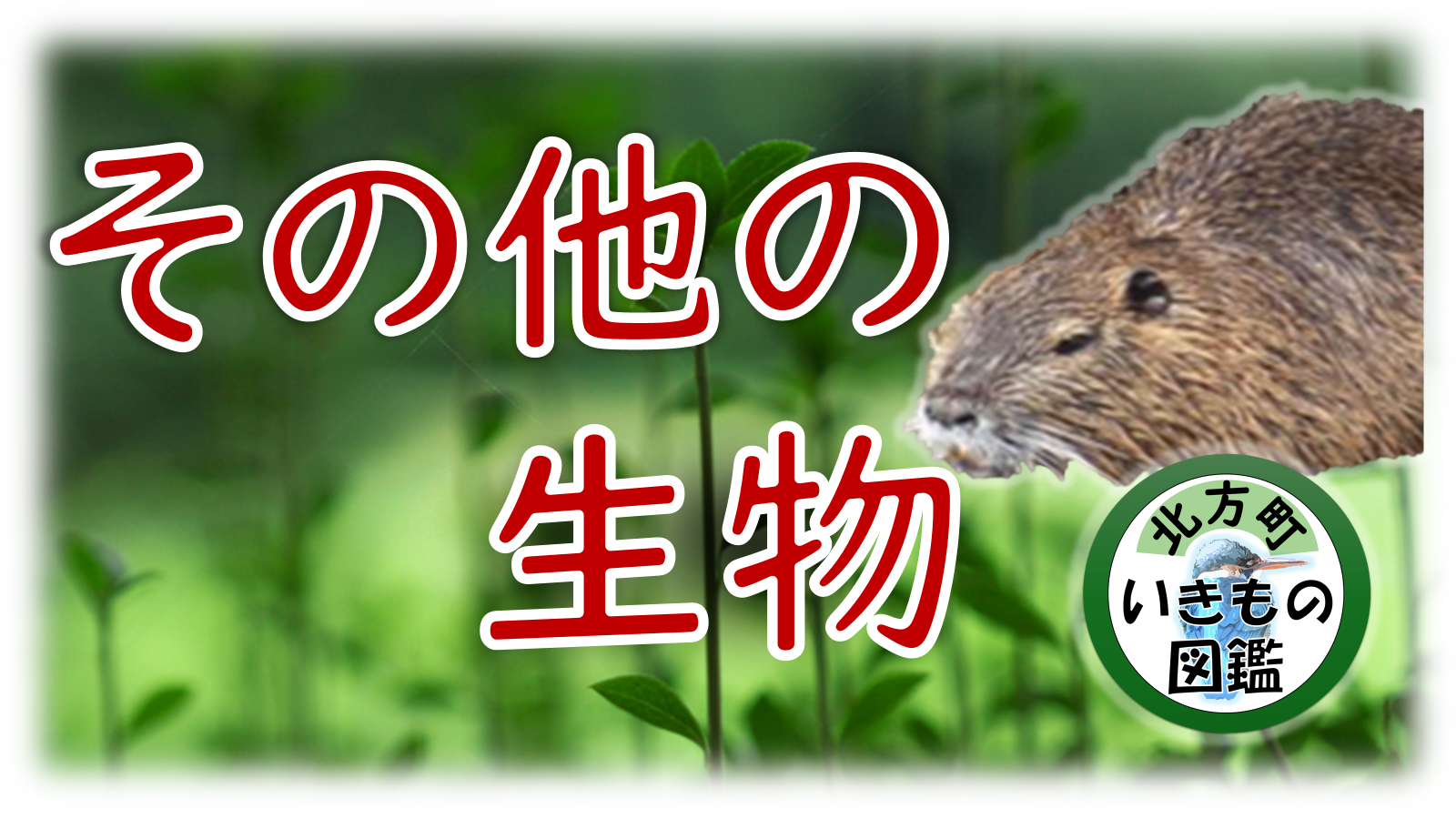 ビーバーの写真に「その他の生物」と書かれている画像