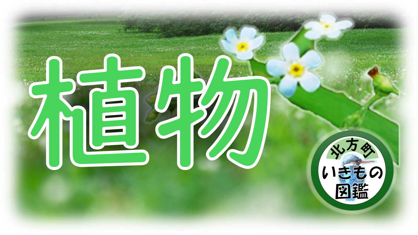 植物の写真に「植物」と書かれている画像