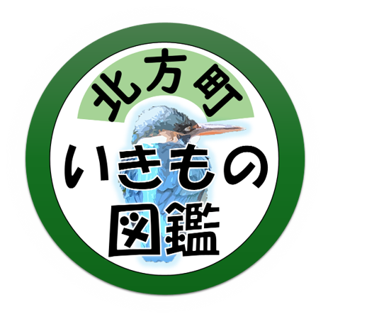 北方町いきもの図鑑