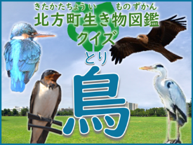 鳥の写真に「北方町生き物図鑑クイズ 鳥」と書かれている画像