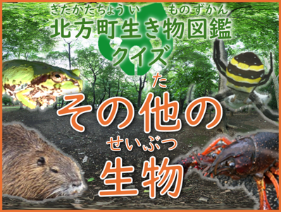 クモやザリガニなどの写真に「北方町生き物図鑑クイズ その他の生物」と書かれている画像